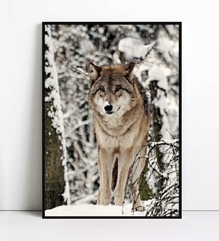 Fox Art Studio, Plakat Wilk, wymiary 70x100 cm - FOX ART STUDIO