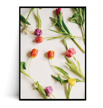 Fox Art Studio, Plakat Wiosenne Tulipany , wymiary 21x29,7 cm - FOX ART STUDIO