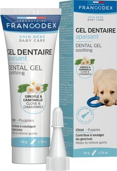 DENTISEPT 20g adhezyjna pasta do zębów dla psów i kotów - Livisto | Sklep  