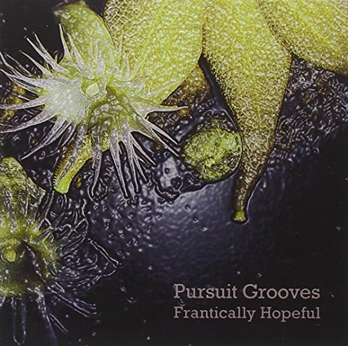 Frantically Hopeful - Pursuit Grooves | Muzyka Sklep EMPIK.COM