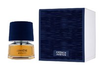 french avenue lumiere garcon