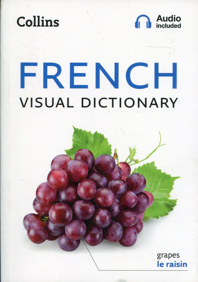 French English Bilingual Visual Dictionary Pdf Download