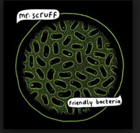 Friendly Bacteria Mr. Scruff