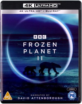 Frozen Planet II (Mroźna planeta II) - Atkins Jane, Doherty Orla, Scott Rachel, Reed James, Lanchester Alex