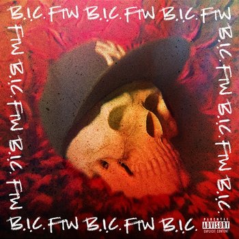 FTW - B.I.C. (Bitches Is Crazy)