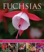 Fuchsias - Mikolajski Andrew