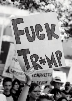 Fuck Tr*mp - Heller Lynne