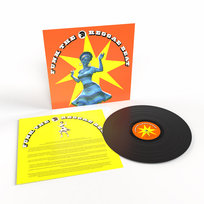 Funk The Reggae Beat: Trojan Records, płyta winylowa Artists Various