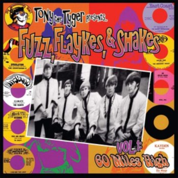 Fuzz, Flaykes, & Shakes, płyta winylowa - Various Artists