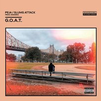 G.O.A.T. Slums Attack, Peja