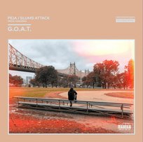 G.O.A.T. Peja / Slums Attack