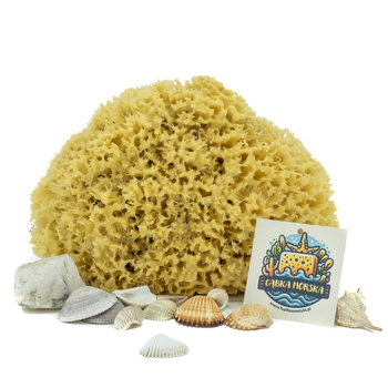 Gąbka do kąpieli - naturalna morska - rozmiar 3XL 20-22 cm - TopKosmetyki