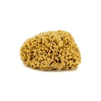 Gąbka do kąpieli - naturalna morska - rozmiar M. 12-14 cm