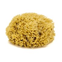 Gąbka do kąpieli - naturalna morska - rozmiar XL. 16-18 cm