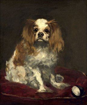 Galeria Plakatu, A King Charles Spaniel, Edouard Manet, 21x29,7 cm - Galeria Plakatu