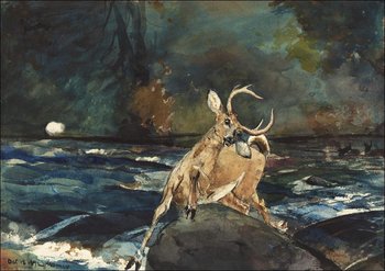 Galeria Plakatu, Plakat, A Good Shot, Adirondacks, Winslow Homer, 50x40 cm - Galeria Plakatu