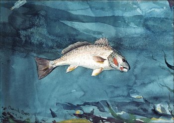 Galeria Plakatu, Plakat, Channel Bass, Winslow Homer, 29,7x21 cm - Galeria Plakatu