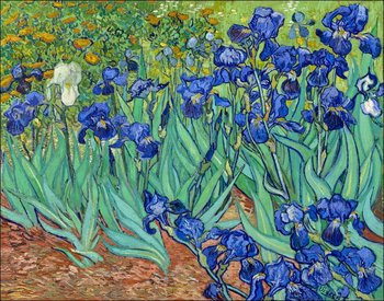 Galeria Plakatu, Plakat, Irysy, Vincent Van Gogh, 70x50 cm - Galeria Plakatu