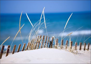 Galeria Plakatu, Plakat, Lake sand Dunes, 29,7x21 cm - Galeria Plakatu