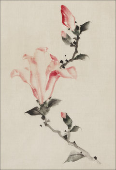 Galeria Plakatu, Plakat, Large Pink Blossom on a Stem with Three Additional Buds, Hokusai, 59,4x84,1 cm - Galeria Plakatu