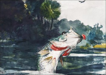 Galeria Plakatu, Plakat, Life-Size Black Bass, Winslow Homer, 40x30 cm - Galeria Plakatu