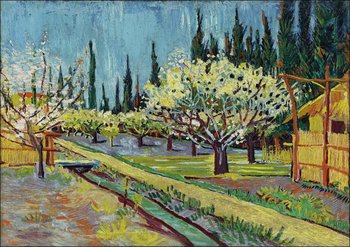 Galeria Plakatu, Plakat, Orchard Bordered by Cypresses, Vincent Van Gogh, 60x40 cm - Galeria Plakatu