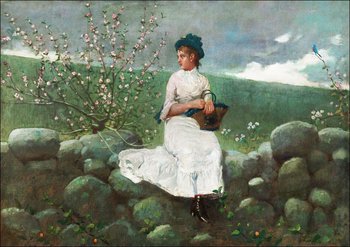Galeria Plakatu, Plakat, Peach Blossoms, Winslow Homer, 59,4x42 cm - Galeria Plakatu