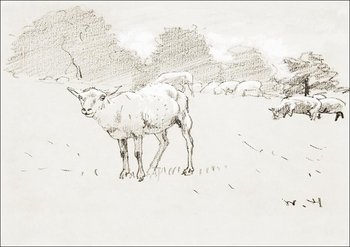 Galeria Plakatu, Plakat, Sheep Grazing in a Field, Winslow Homer, 29,7x21 cm - Galeria Plakatu