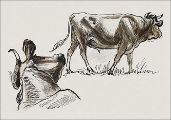 Galeria Plakatu, Plakat, Sketches of Cattle, Irvingto, Samuel Colman, 100x70 cm - Galeria Plakatu