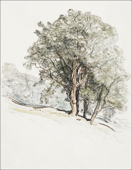 Galeria Plakatu, Plakat, Study of Oak Trees at Lake Dunmore, Vermont, Samuel Colman, 21x29,7 cm - Galeria Plakatu
