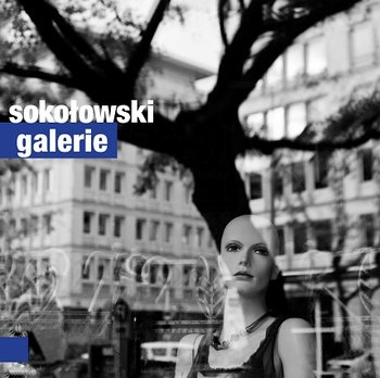 Galerie - Sokołowski Jakub