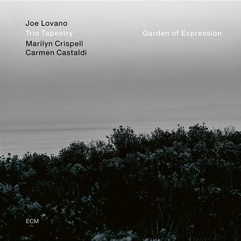 Garden of Expression - Joe Lovano, Marilyn Crispell, Carmen Castaldi