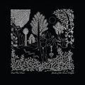 Garden Of The Arcane Delights / The John Peel Sessions - Dead Can Dance