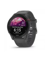 Garmin Forerunner 255 Slate Gray 010-02641-10 Garmin