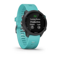 GARMIN -  【GARMIN 】ForeAthlete 245 Music Garmin, Zegarek sportowy, Forerunner 245 Music GPS (010