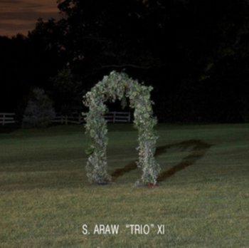 Gazebo Effect, płyta winylowa - Sun Araw 'Trio' XI