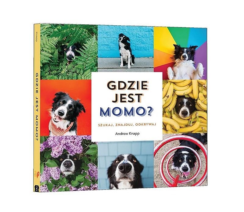 Gdzie jest Momo - Knapp Andrew | Książka w Empik