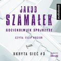 Gdziekolwiek spojrzysz. Ukryta sieć. Tom 3 - Szamałek Jakub
