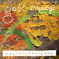 Gdzieś pomiędzy GOŚĆ/INNOŚĆ