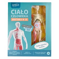 Geniuz, Ciało Czlowieka - zestaw naukowy