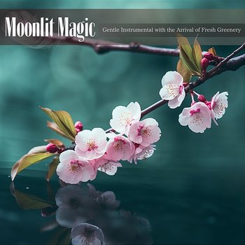 Gentle Instrumental with the Arrival of Fresh Greenery - Moonlit Magic