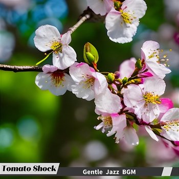 Gentle Jazz Bgm - Tomato Shock