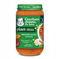 GERBER ORGANIC MAROKAŃSKI GULASZ WARZYWNYI, 250G