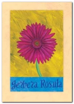 Gerbera Rosula plakat obraz 50x70cm - Wizard+Genius
