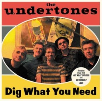 Get What You Need, płyta winylowa - The Undertones