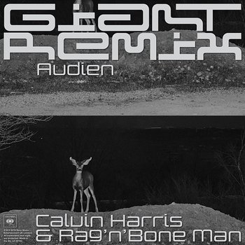 Giant - Calvin Harris, Rag'N'Bone Man