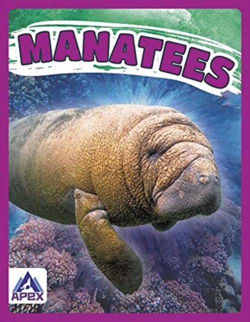 Giants Of The Sea: Manatees - Katie Chanez | Książka W Empik