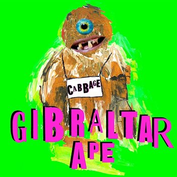 Gibraltar Ape - Cabbage