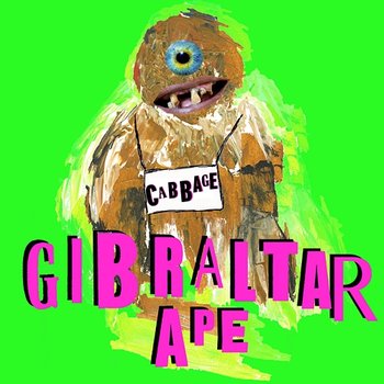 Gibraltar Ape - Cabbage