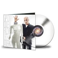 Gipsowy odlew falsyfikatu, płyta winylowa